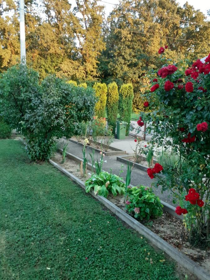 Maja Appartement Velika Gorica Buitenkant foto