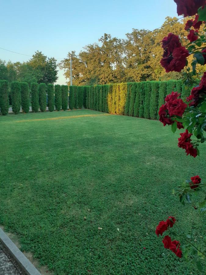 Maja Appartement Velika Gorica Buitenkant foto
